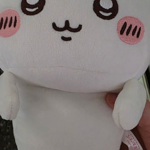 치이카와 자세교정인형
