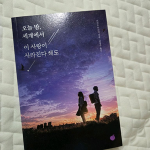 소설 오늘 밤 세계에서 이사랑이 사라진다 해도