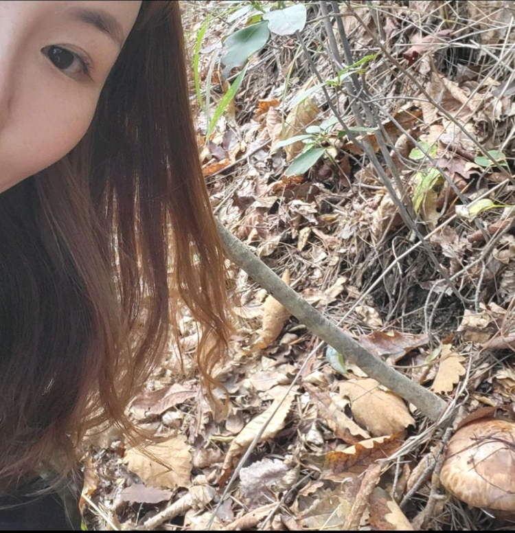 2025년 월악산 자연산 송이버섯 이미지