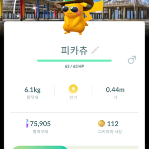 포켓몬고 배경 이로치 피카츄