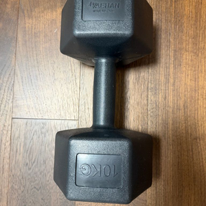 대한스포츠 10kg 아령 2개