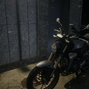 혼다 cb300r