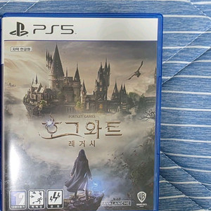 PS5 호그와트 레거시