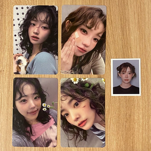 QWER 미니 3집 B버전 포토카드 포카 증명사진 세트