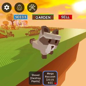 그어가 그로우 어 가든 메가 라쿤