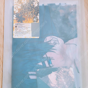 미개봉 뿌리 없는 나무 쉬폰 포스터 세트 포카 뿌없나