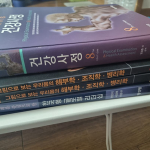 간호학과 교재 건강사정. 리더십. 해부학 조직학 병리학