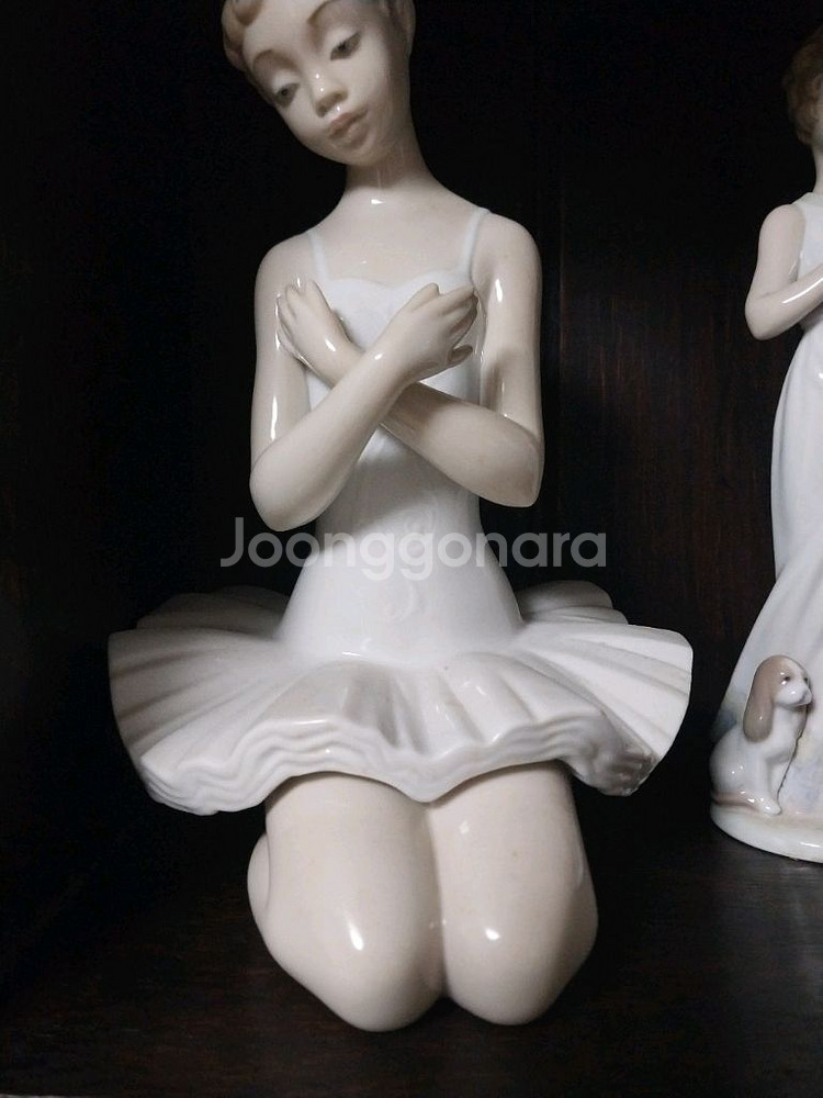 야드로발레리나--4
