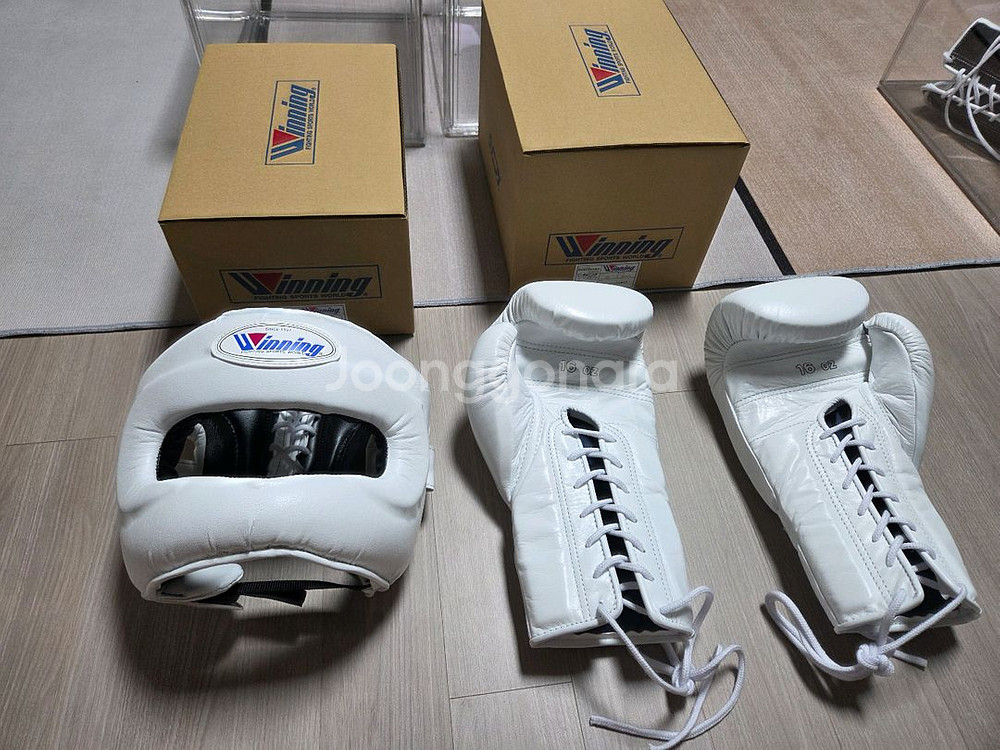 위닝 글러브 헤드기어--0