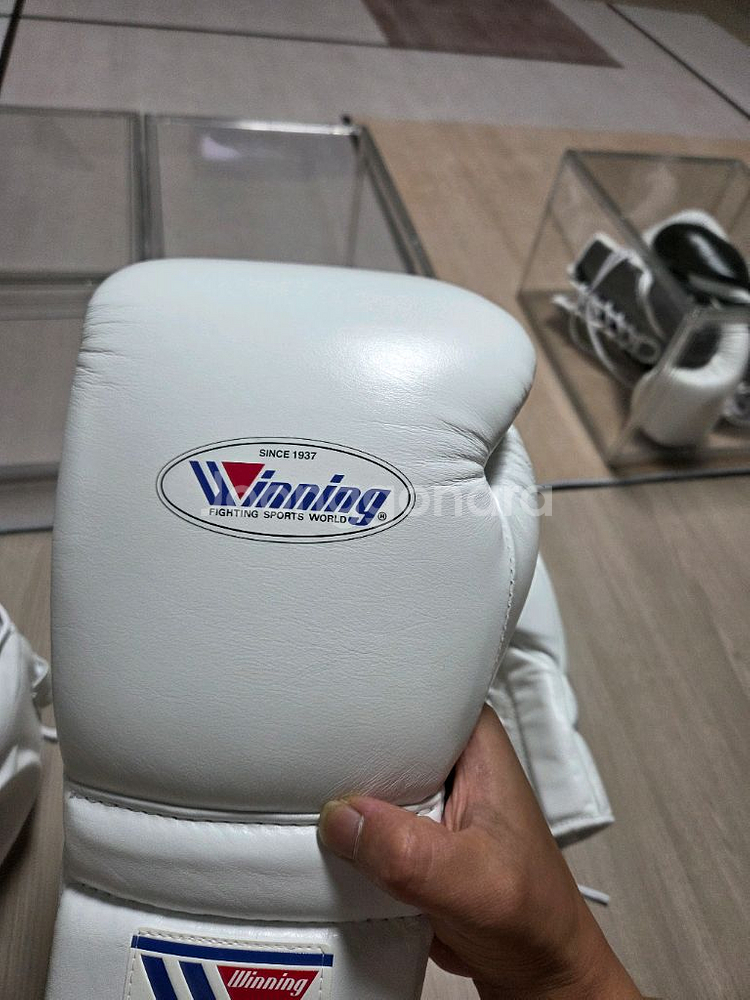 위닝 글러브 헤드기어--1