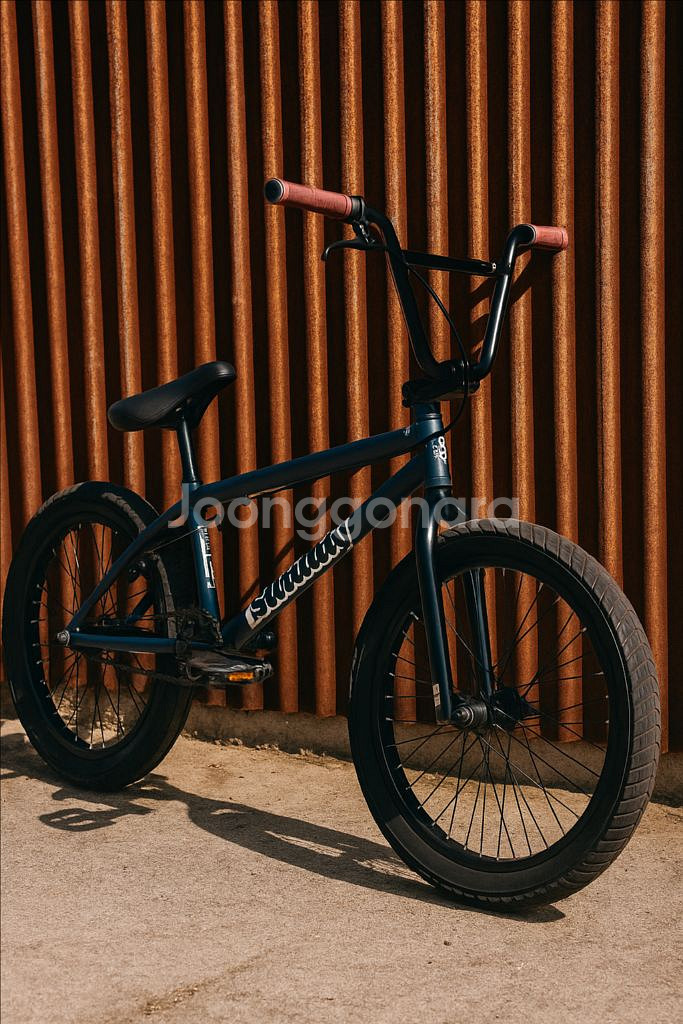 선데이 BMX 급처해요--0