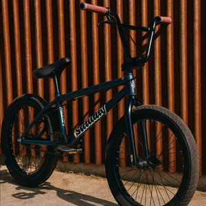 선데이 BMX 급처해요