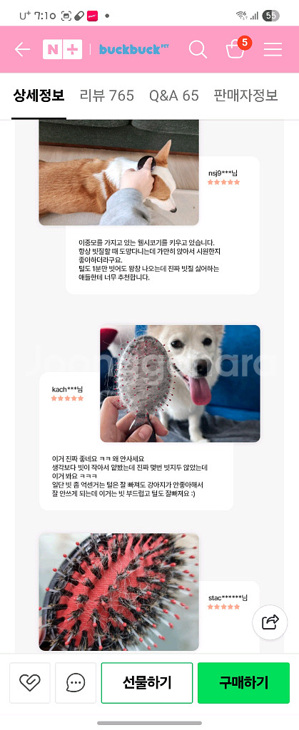 강아지 빗--7