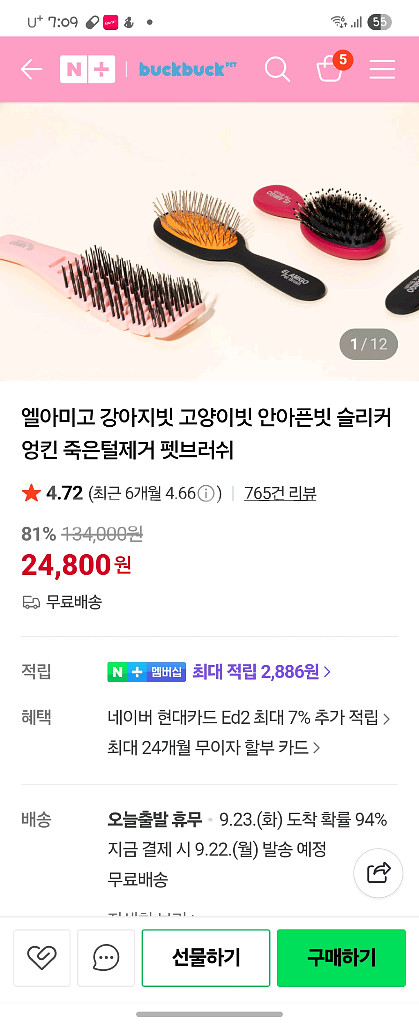 강아지 빗--9