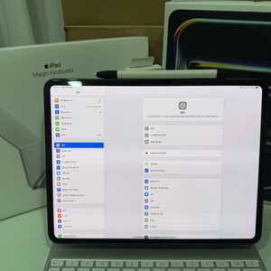 아이패드 프로7세대 M4 13 셀룰러(애케플)풀세트급처