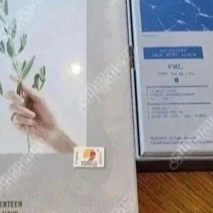 세븐틴 2집+미니 10집, 보아 1집싱글+4집