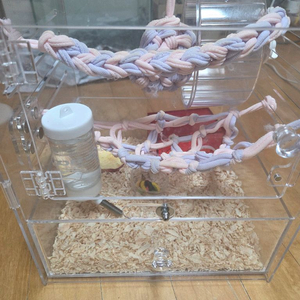 피그미다람쥐 케이지 및 관련용품 일체