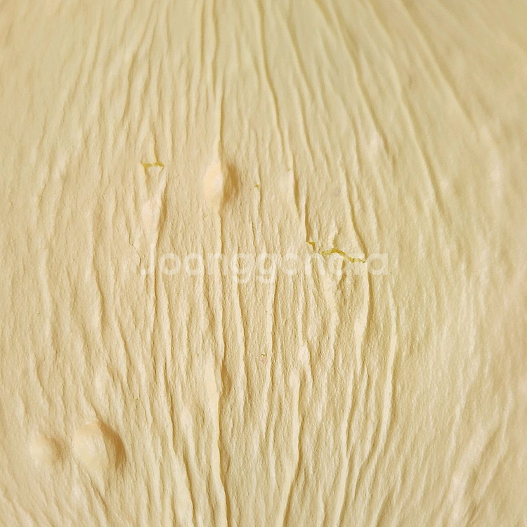 아이블룸 스퀴시 무스타르트&무스마들렌 레인보우--4