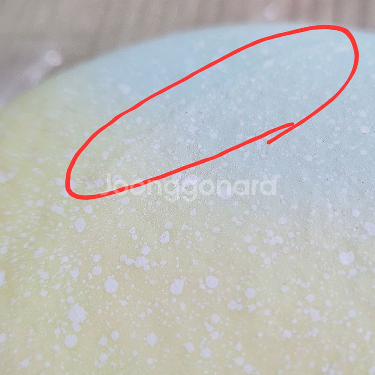 아이블룸 스퀴시 무스타르트&무스마들렌 레인보우--3