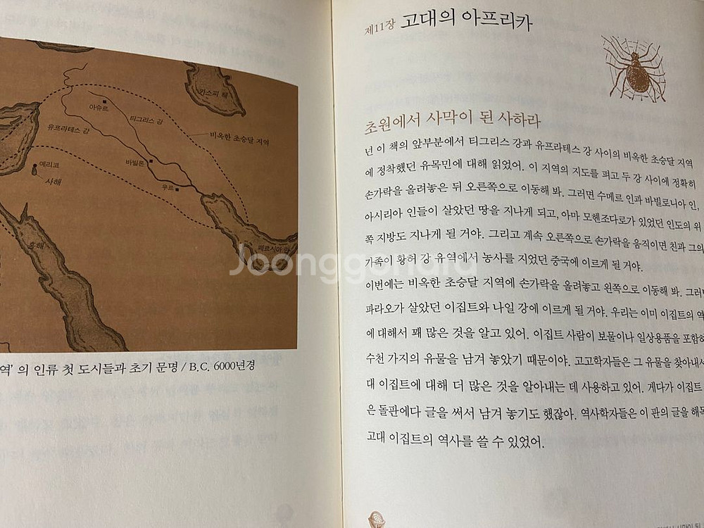 꼬마이실 세계역사이야기 양장본 5권--2