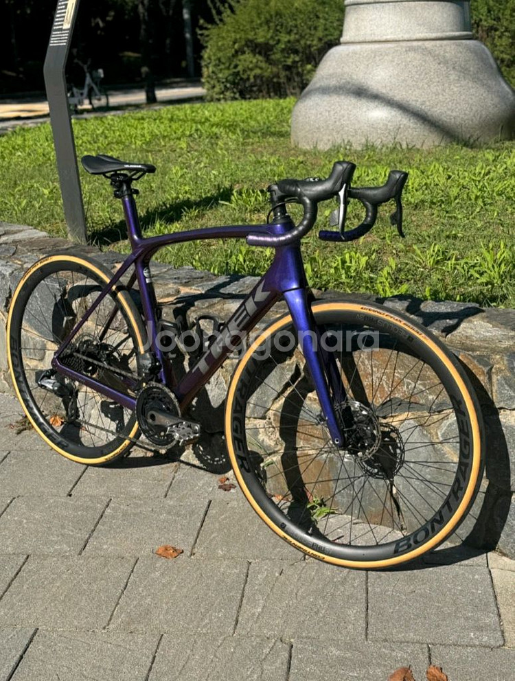 2020 트렉 도마니 SLR 7 프로젝트원 56사이즈--0