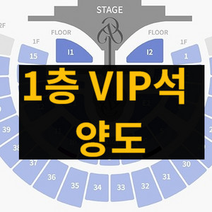 아이브 콘서트 1층 VIP석 양도