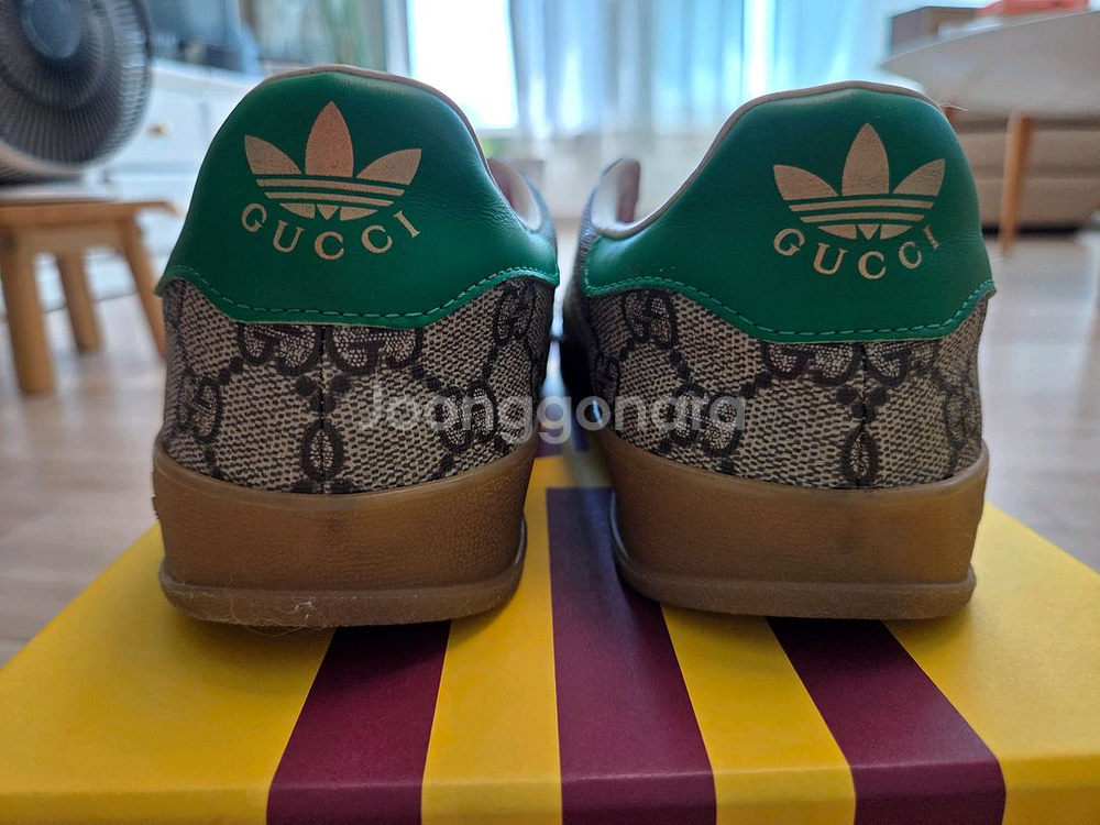 구찌 아디다스가젤 콜라보 255--5