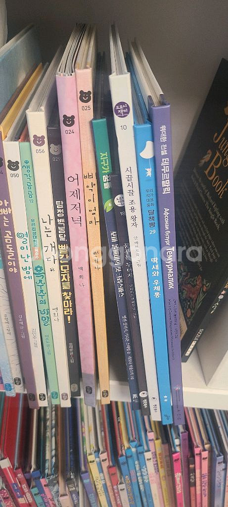 책읽는곰 30권 + 샘플 10권--2