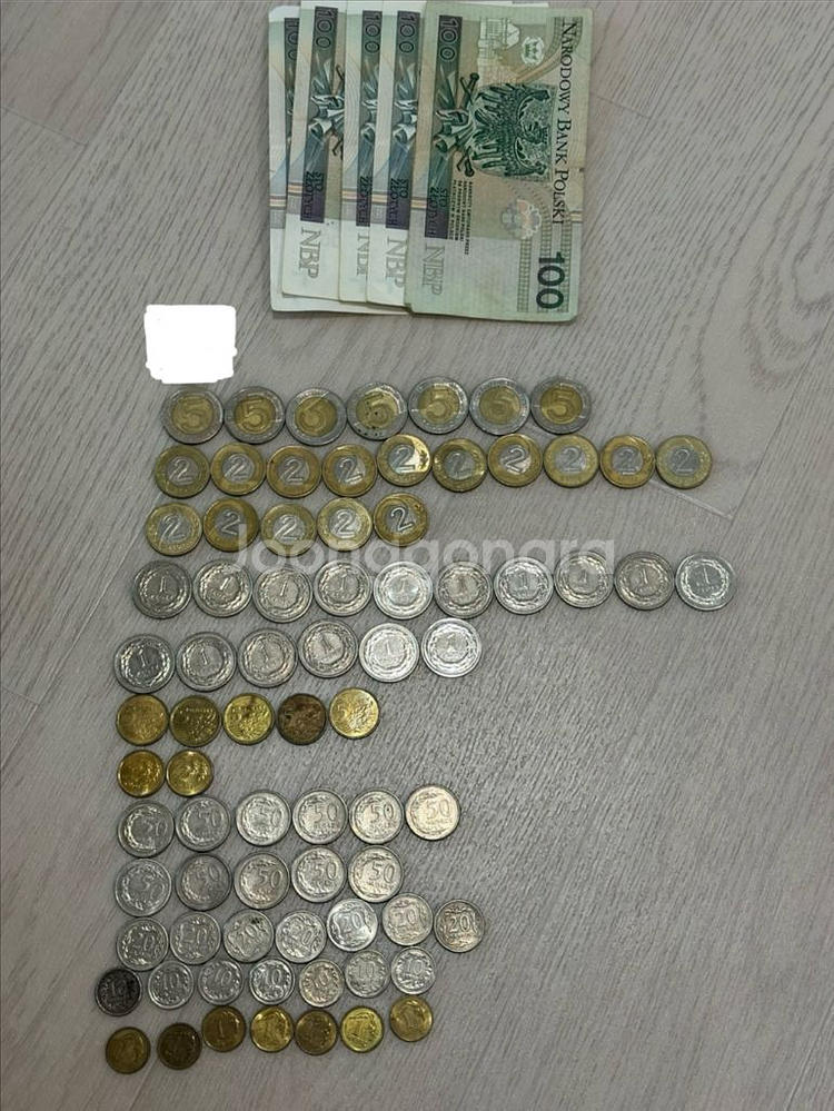 폴란드 지폐 및 동전 일괄--0