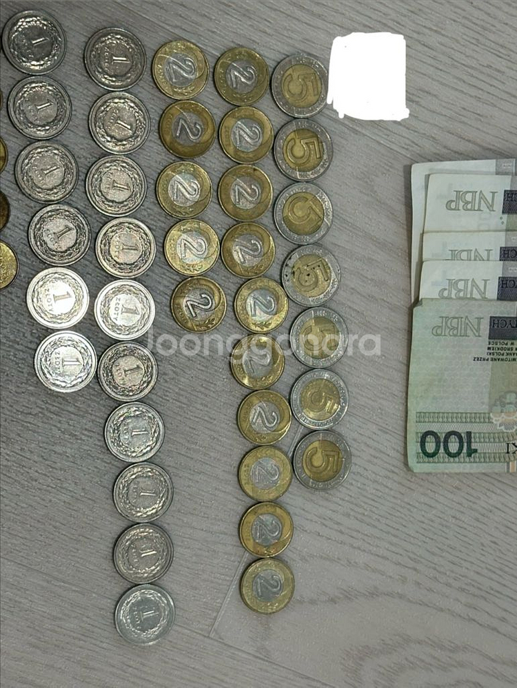 폴란드 지폐 및 동전 일괄--1
