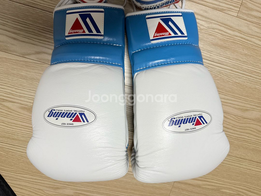 위닝 커스텀 스카이블루 스파링세트 16온스--7