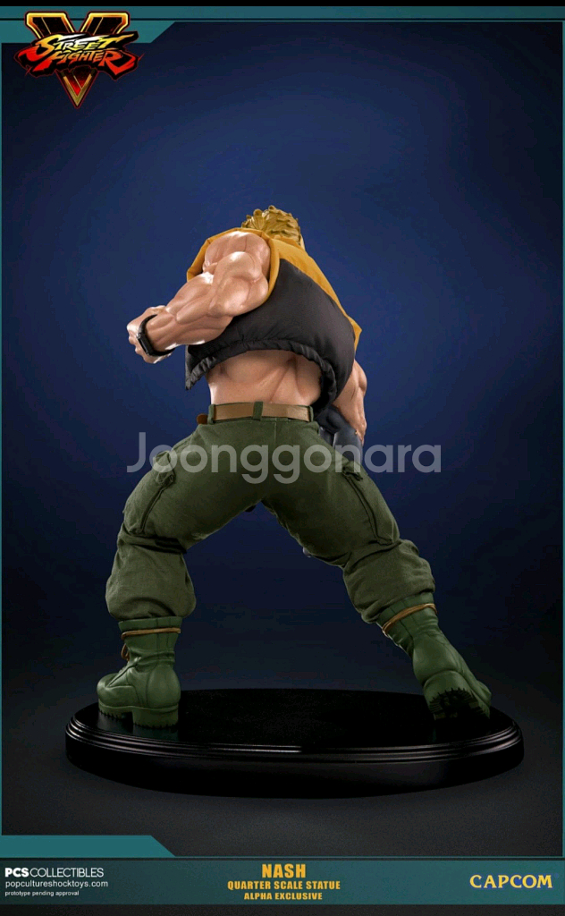 PCS 스트리트 파이터 Nash Alpha 내쉬 알파--1