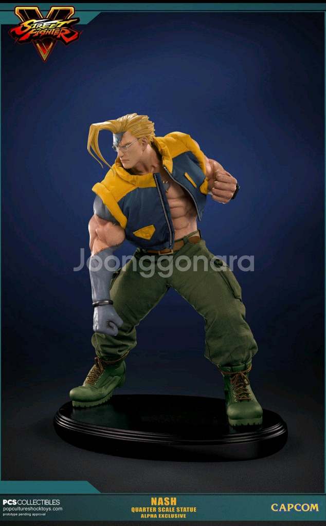 PCS 스트리트 파이터 Nash Alpha 내쉬 알파--0