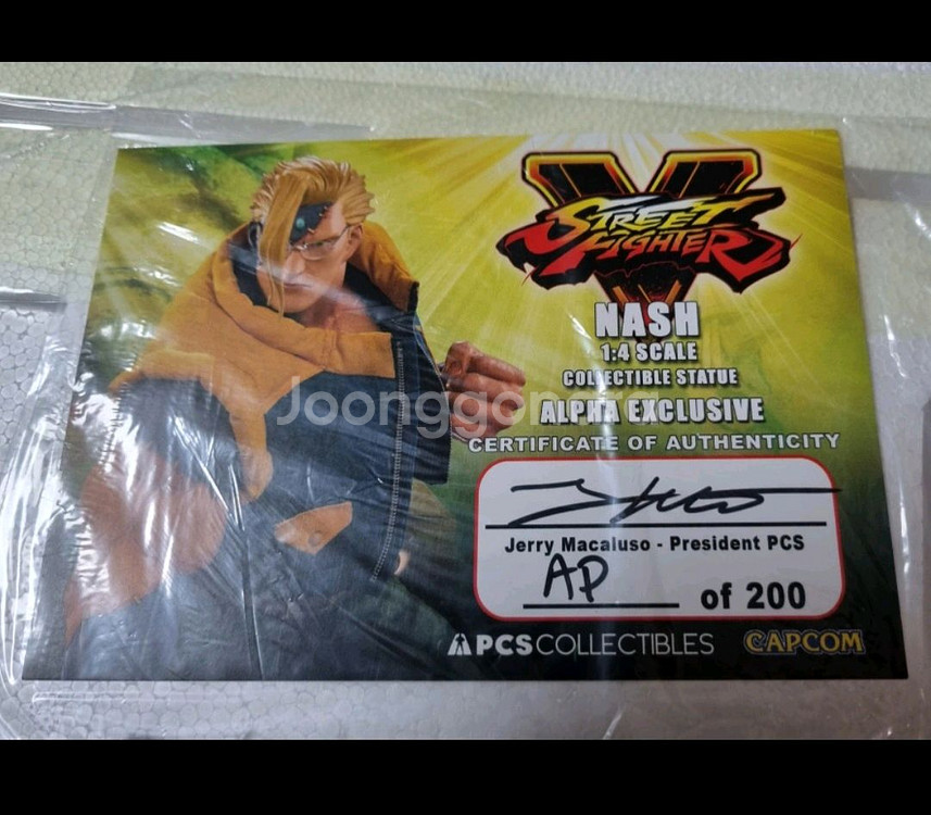 PCS 스트리트 파이터 Nash Alpha 내쉬 알파--3