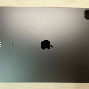 아이패드 프로ss 5세대 12.9 256 wifi 스그