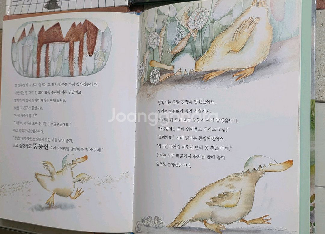 프뢰벨 테마동화 전집 49권 + CD 전권 +가이드북--2