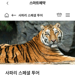 에버랜드 사파리스페셜투어 로스트밸리스페셜투어 양도