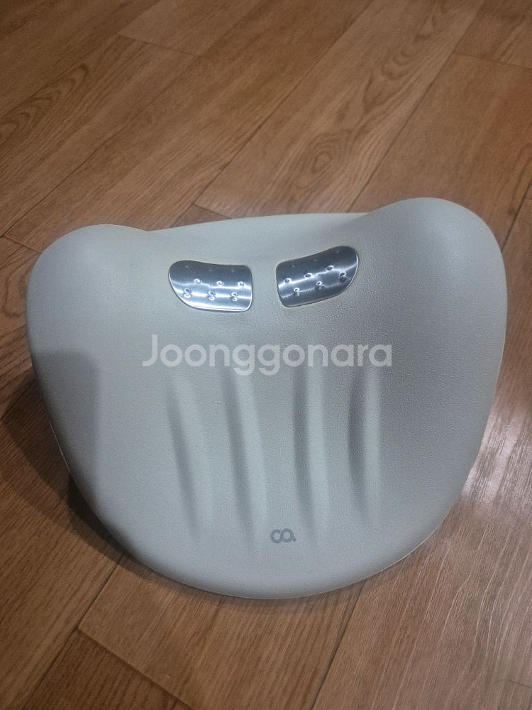 오아 목마사지기--1