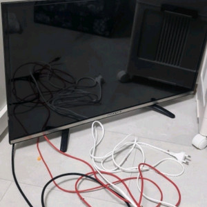 TV 겸 모니터