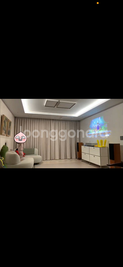 프로악 Response DT8 판매 9/27 한정 가격--0