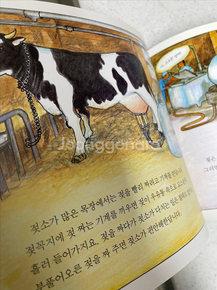 사탕수수 수학책 원리가보이는과학 생활속과학--4