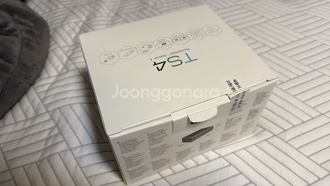 칼디짓 ts4--0