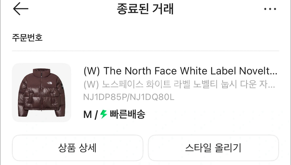 노스페이스 화이트 라벨 눕시 다운 자켓 코코아브라운--7