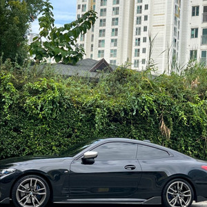 bmw 440i퍼포배기팝니다