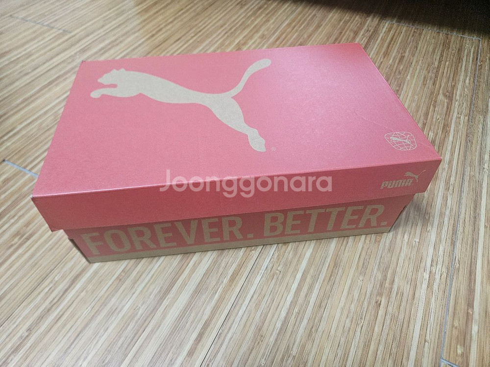 푸마Puma BMW 운동화 판매합니다.--0