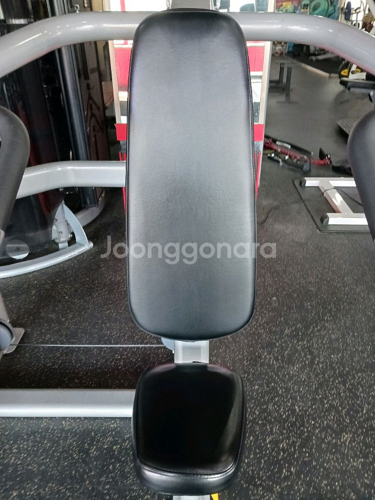 프리코 숄더프레스,테크노짐 토탈 업도미널--2