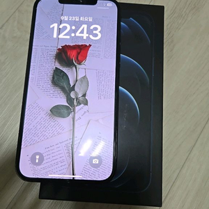 아이폰12프로맥스 512GB