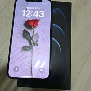 아이폰12프로맥스 512GB