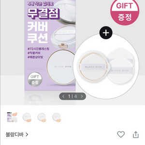블랑디바 쿠션