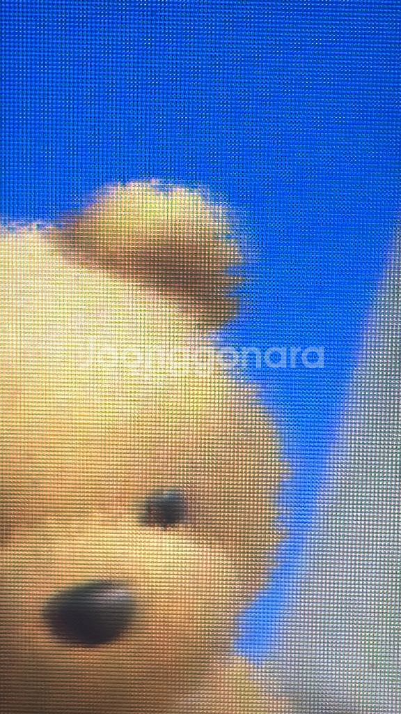 롤 다이아 3 장패드 ㅍㅍ--0